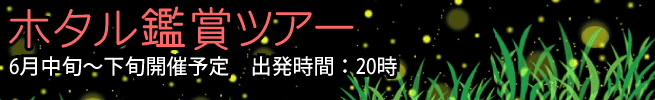 ホタル鑑賞ツアー 6月中旬〜下旬開催予定