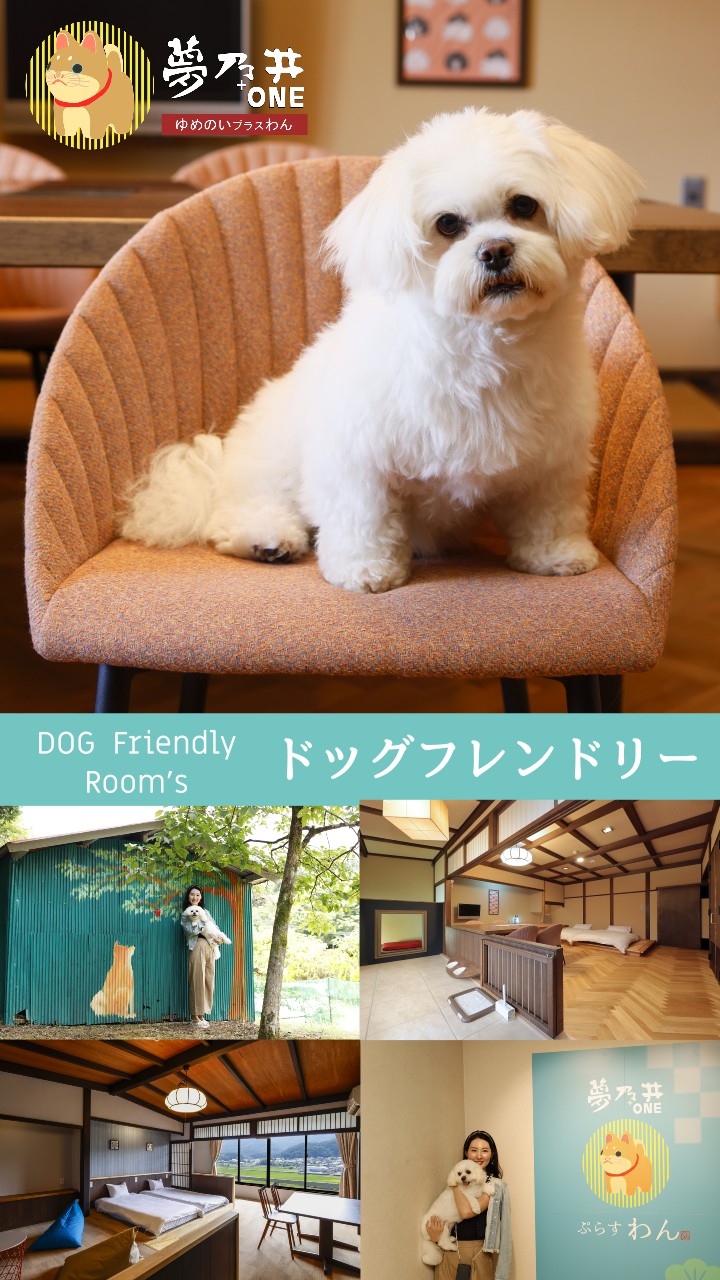 愛犬と泊まれるドッグフレンドリールーム