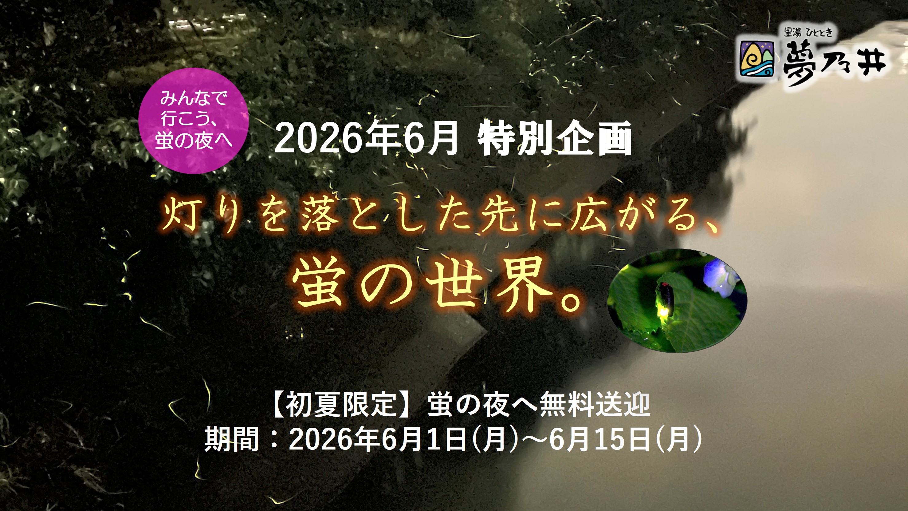 当館では、蛍が見頃を迎える時期にあわせて、観賞スポットまでの無料送迎を実施いたします。幻想的な光が舞うひとときを、ぜひお楽しみください。