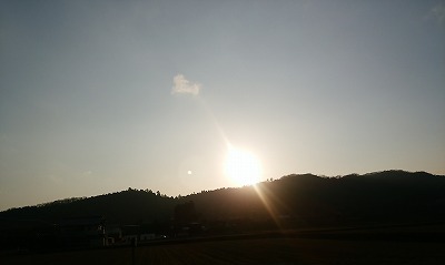 夕陽